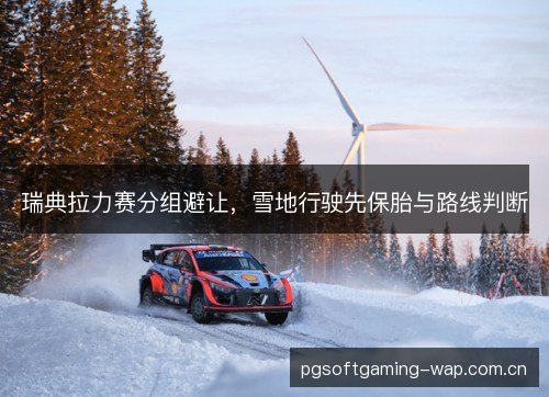 瑞典拉力赛分组避让,雪地行驶先保胎与路线判断 瑞典拉力赛分组避让,雪地行驶先保胎与路线判断